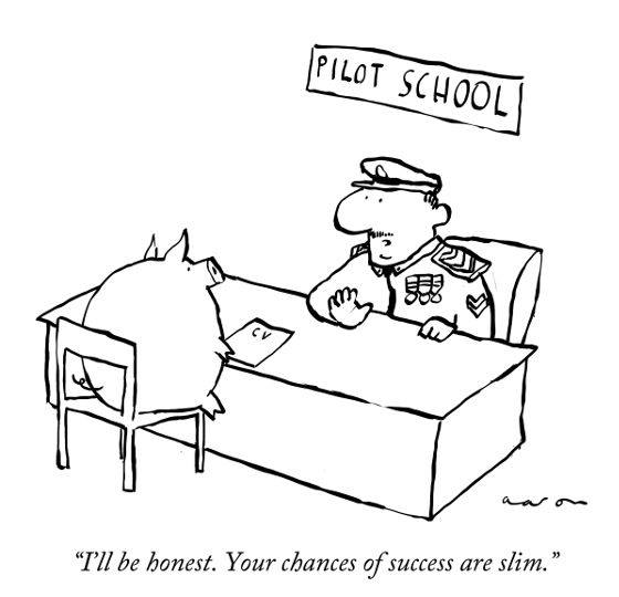 Pilot_school Pilot school