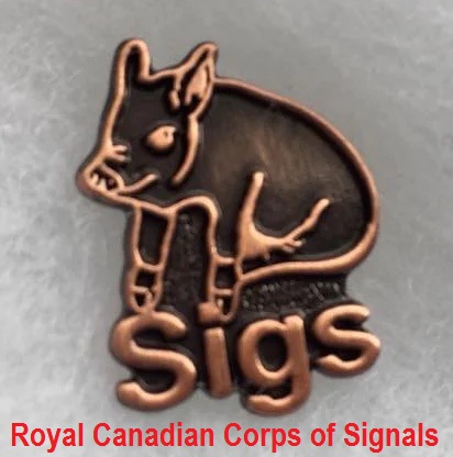SigsPig_1 SigsPig