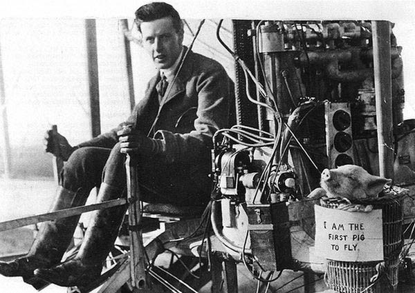 rabazon_and_the_first_pig_to_fly rabazon and the first pig to fly